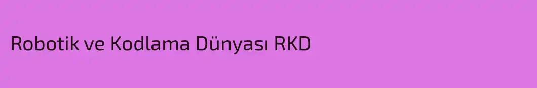 Robotik ve Kodlama Dünyası RKD